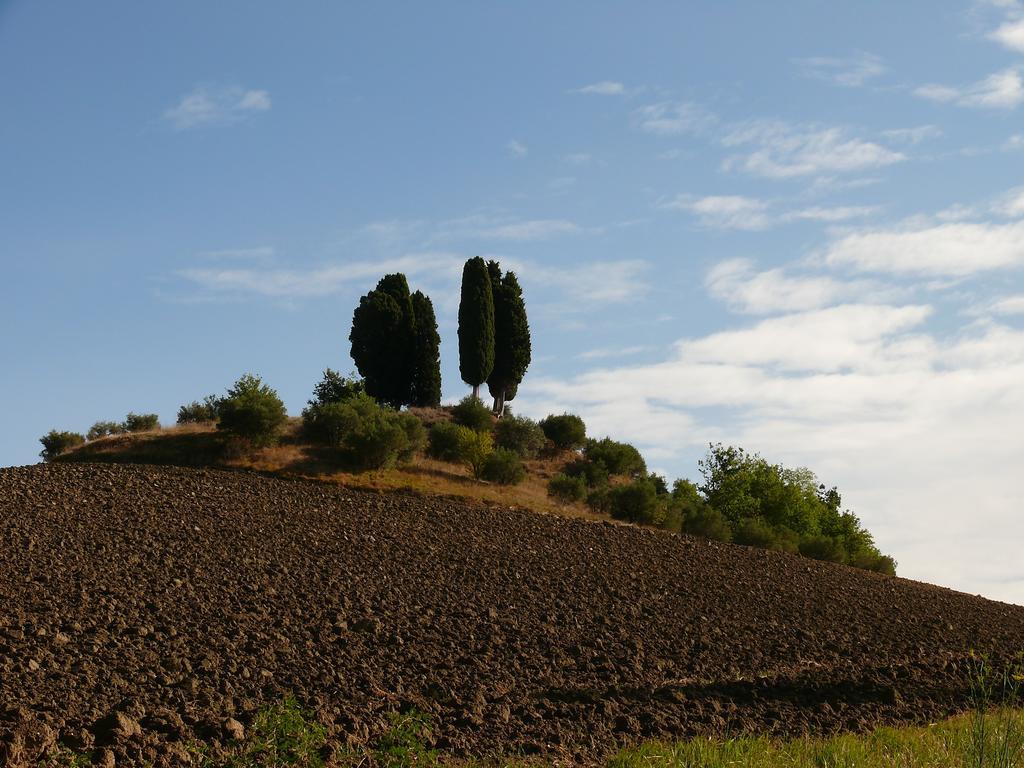 Due Torri Hotel San Severino Marche Bagian luar foto